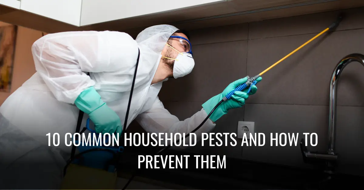 10 Common Household Pests And How To Prevent Them