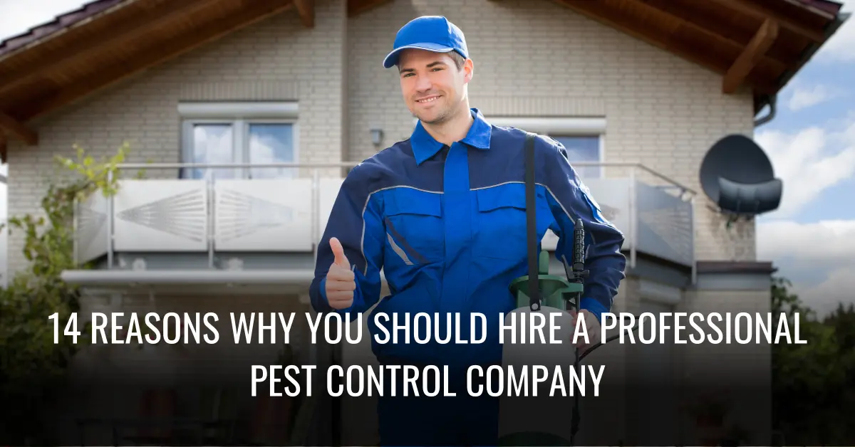 14 Reasons Why You Should Hire A Professional Pest Control Company