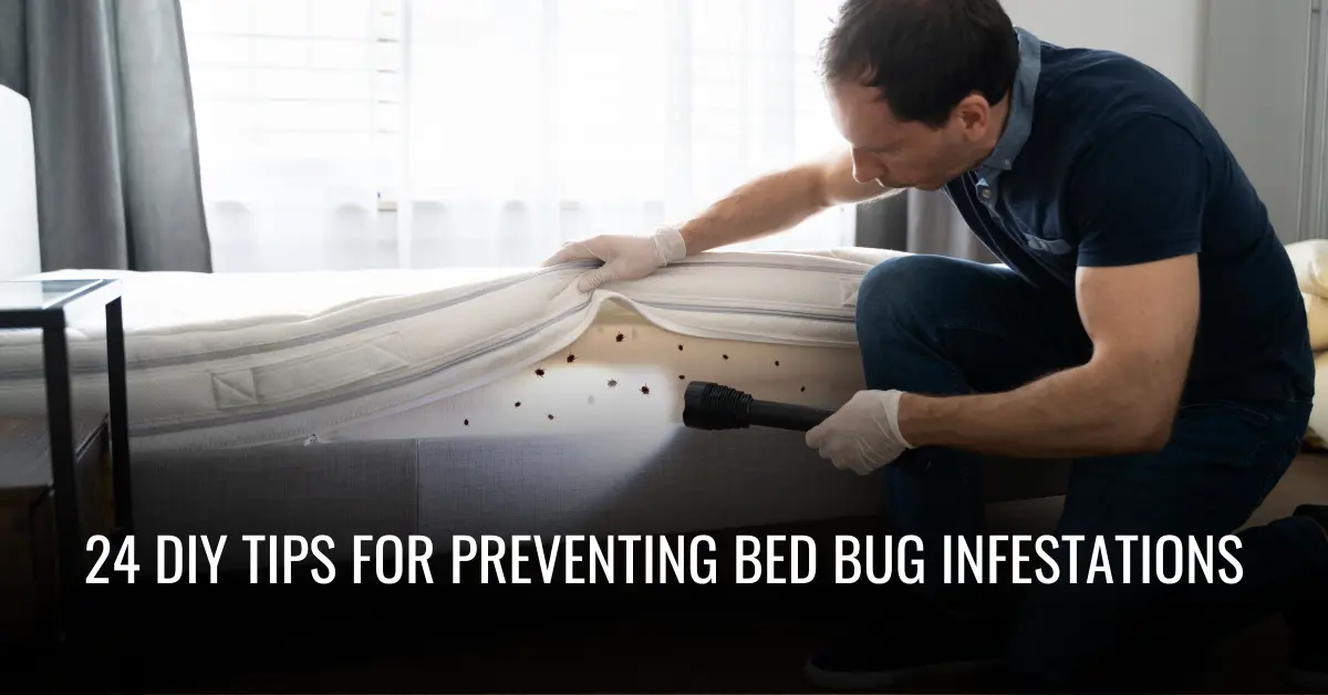 24 DIY Tips For Preventing Bed Bug Infestations