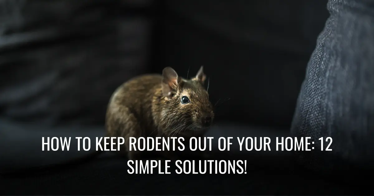 How To Keep Rodents Out Of Your Home 12 Simple Solutions