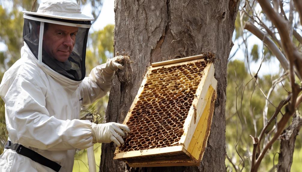 wasp nest removal costs australia